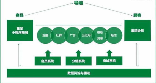 小程序商城gmv达3亿,会员复购率56 ,私域经营最佳方法