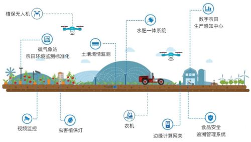 农产品电商发展未来趋势和建议 2020阿里农产品电商报告 解读三